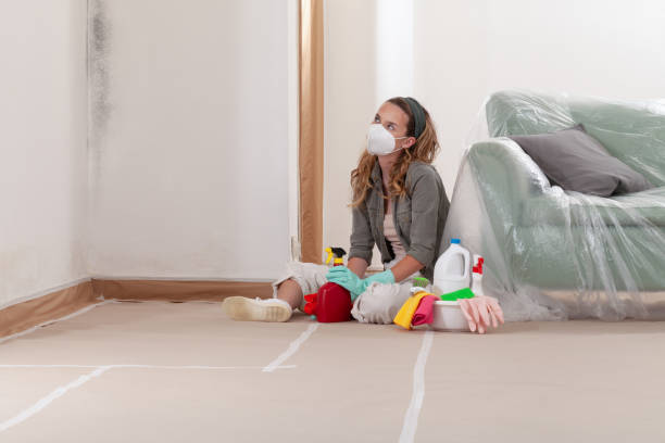 Reliable Mold Removal contractor in Gainesville, VA by WQB Mold Removal
